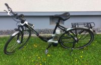 Raleigh Dover LTD E-Bike Dortmund - Scharnhorst Vorschau