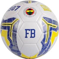 Fenerbahce Istanbul Fussball Niedersachsen - Hildesheim Vorschau