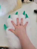 Fursuit head+paws Sachsen - Pirna Vorschau