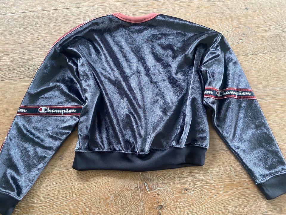 Damen Samt Sweatshirt/Pulli Champignon Gr. XS in Drelsdorf 