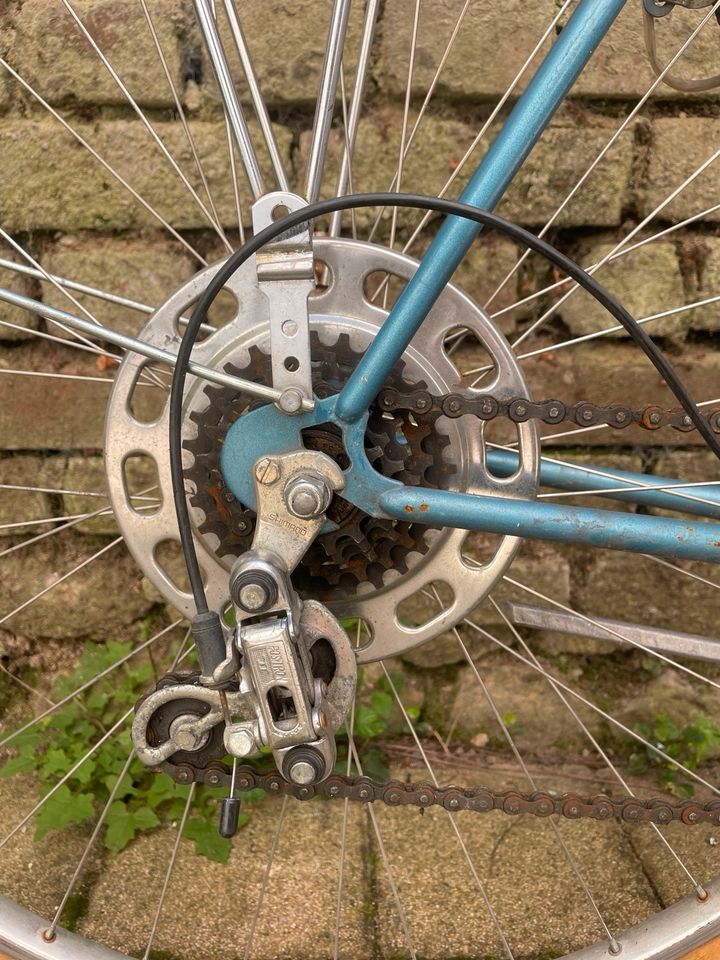 Vintage Rennrad Fahrrad Herrenrad zum basteln in Darmstadt