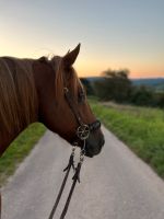 Reitbeteiligung zu vergeben, Freizeit Western Rheinland-Pfalz - Konz Vorschau