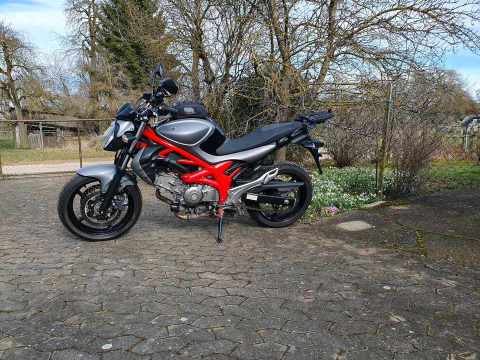 Suzuki Gladius in Amstetten