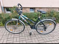 Treckingbike Fahrrad 28 Zoll Toskana Alu Sachsen - Schwarzenberg (Erzgebirge) Vorschau