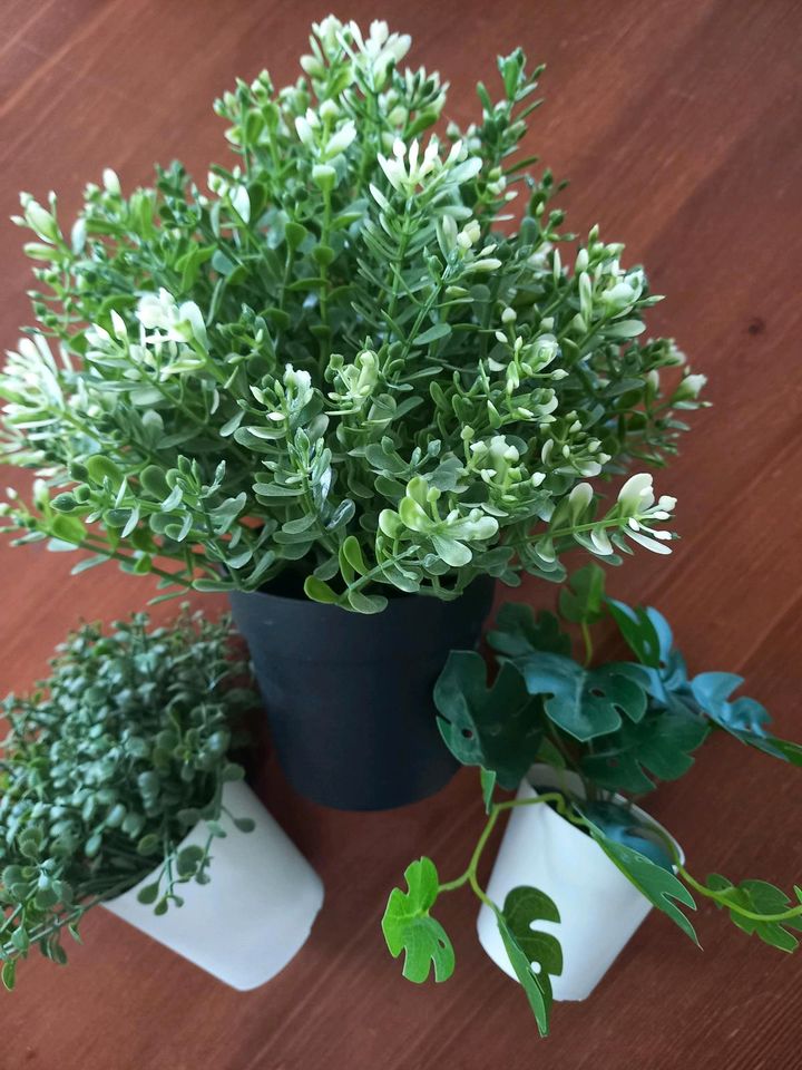3 Ikea Pflanzen Plastik in Taura