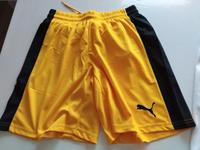 Puma Sporthose gr M Sachsen-Anhalt - Salzwedel Vorschau