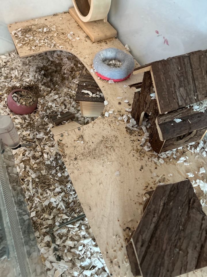 Hamster Käfig mit Zubehör in Bergneustadt