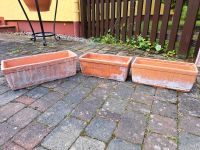 3x Terrakotta Blumentöpfe Hessen - Eltville Vorschau