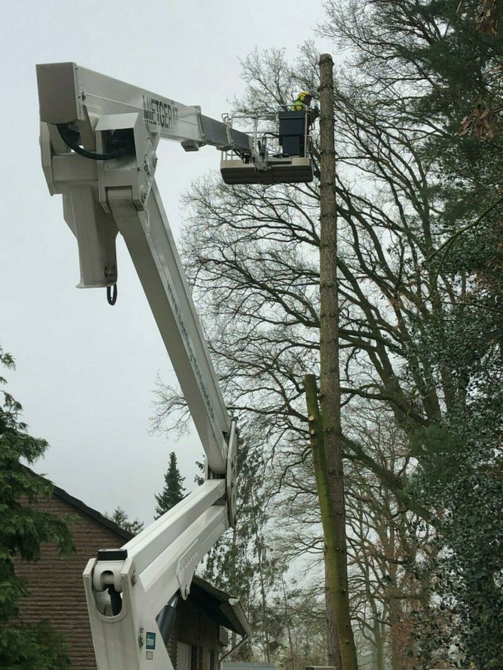 Baumfällung Baumpflege Sturmschadenbeseitigung Wurzelfräsen in Saerbeck