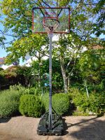 Basketballkorb "San Diego" (offizielle Maße) Hessen - Einhausen Vorschau