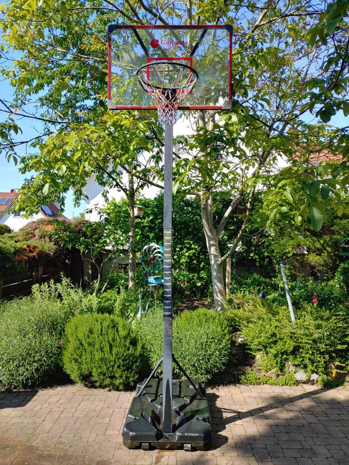 Basketballkorb "San Diego" (offizielle Maße) in Einhausen