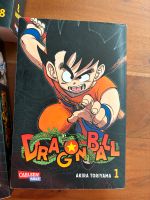 Dragonball Bücher Leipzig - Burghausen-Rückmarsdorf Vorschau