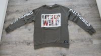 H&M Pullover Gr.170 Pulli Sweatshirt Junge Go Wild Top! Sachsen - Reichenbach (Vogtland) Vorschau