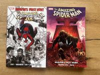 Spider-Man Comics - verschiedene Titel HC SC Rheinland-Pfalz - Zweibrücken Vorschau