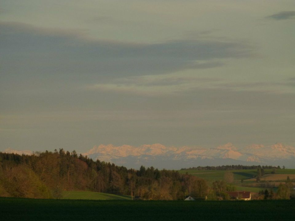 Bienen Parkplatz - Heimat -Garten in Illmensee