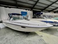 Chaparral 2550 Sport Nordrhein-Westfalen - Grevenbroich Vorschau