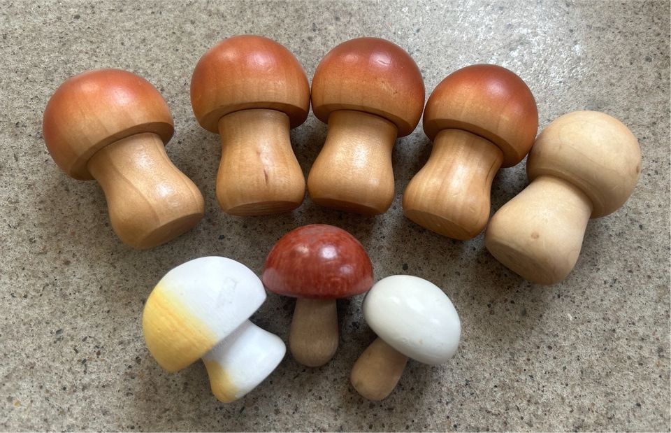 Erzi Kaufladenzubehör Pilze Champignons Holzspielzeug in Legden