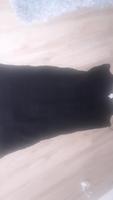 Strickkleid Brandenburg - Rathenow Vorschau