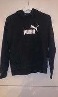 Puma Hoodie M schwarz Pulli Hamburg-Nord - Hamburg Barmbek Vorschau