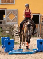 Reitunterricht und Pferdetraining Brandenburg - Lychen Vorschau