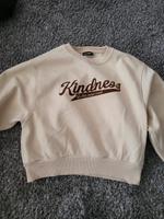 Frauen pullover Niedersachsen - Bückeburg Vorschau