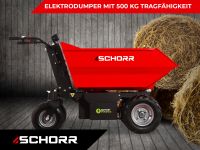 Minidumper 500kg Elektro von SCHORR 1000W 48V Dumper Raddumper Elektrodumper Akkudumper Emsbüren - Ahlde Vorschau