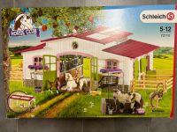 Schleich 72110 Horse Club Pferdehof und Waschplatz Baden-Württemberg - Hüttlingen Vorschau