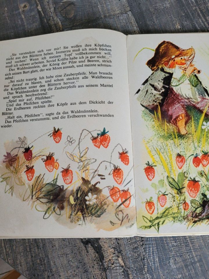 KINDERBUCH Wie Evchen Walderdbeeren suchte in Taucha