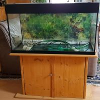 Aquarium 200 Liter Bayern - Wegscheid Vorschau