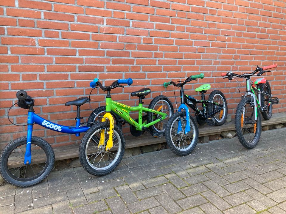 Kinder Laufrad MTB Scoot Ridgeback Kult in Schaalby