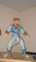 Thundercats Tygra Nordrhein-Westfalen - Kall Vorschau