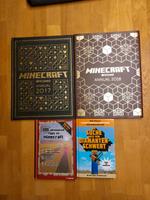 Minecraft Bücher Sachsen - Großhartmannsdorf Vorschau