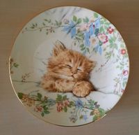 Cat nap Kitten Classics Hampton collection Teller sammel England Nordrhein-Westfalen - Warendorf Vorschau