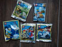 Lego City Polybag Mecklenburg-Vorpommern - Greifswald Vorschau