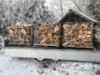 Brennholz Esche Hartholz 33cm Bayern - Altusried Vorschau