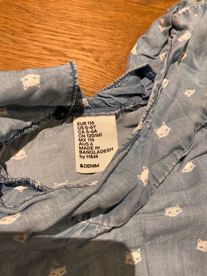H&M Bluse Shirt  Jeans 110/116 Katze in Düsseldorf