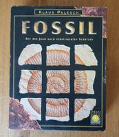 Fossil - auf der Jagd nach versteinerten Schätzen Niedersachsen - Hemslingen Vorschau