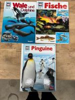 WAS Ist WAS Bücher Wale& Delphine , Fische, Pinguine Bonn - Beuel Vorschau