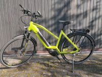 Hercules E Bike Futura 500 Wh Damen und Herren Baden-Württemberg - Oberkirch Vorschau