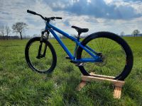 Dirtbike, slopestyle mtb (Octane One Circus) Niedersachsen - Himmelpforten Vorschau