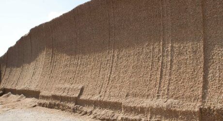 Silomais maissilage in Lügde