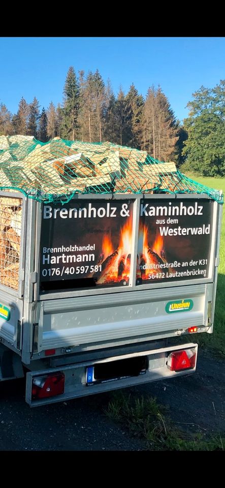 Brennholz Ofenfertig Buche/ Eiche/ Fichte in Lautzenbrücken