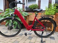 E- Bike Prophete Limited Edition Niedersachsen - Leer (Ostfriesland) Vorschau