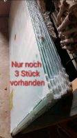 Glas Ganzglastür Glastür Sicherheitsglas Tür Neu 8mm Nordrhein-Westfalen - Lügde Vorschau