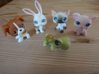 Littlest Pet Shop Figuren Sachsen-Anhalt - Wernigerode Vorschau