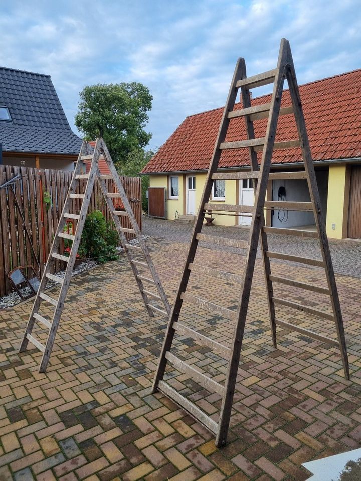 Leiter / 2 Stück / aus Holz / groß in Flieth-Stegelitz