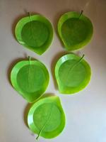 5 x DDR Untersetzer Blatt Ostalgie Vintage neu Sachsen - Annaberg-Buchholz Vorschau