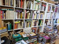 ganzes Zimmer voller Bücher Bibliothek Sammlung Bayern - Pilsach Vorschau