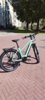 E-Bike Winora Sinus r8f eco München - Ludwigsvorstadt-Isarvorstadt Vorschau