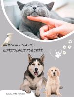 NEU Bioenergetische Kinesiologie & Cranio Sacral Balancing Tiere Kr. Altötting - Mehring Vorschau